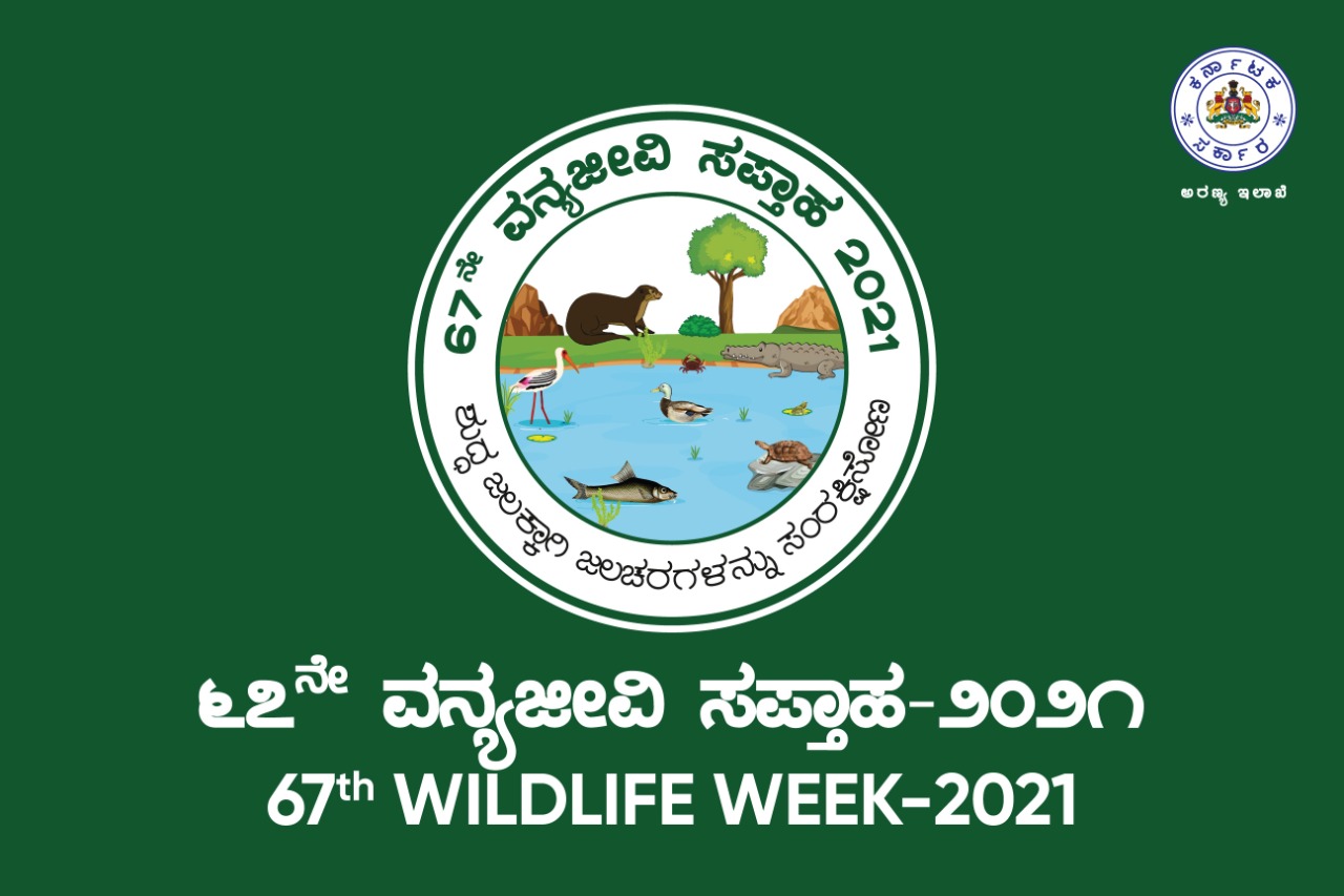 67th wildlife week 3