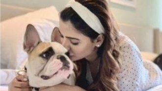 Is South queen Samantha’s health condition serious? Her team clarifies
