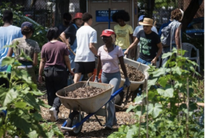 NYC Initiative Teaches Children From Underserved Communities How To Grow Their Own Food