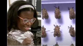 Yale’s School of Public Health Honors Nine-Year-Old Lanternfly Catcher Who Was Reported to Police