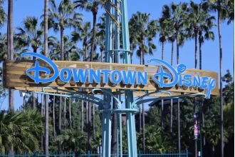 Mum falls to her death from the Disneyland parking structure.
