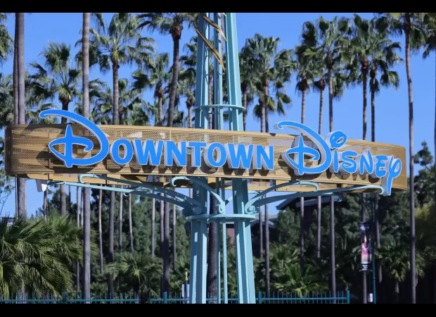 Mum falls to her death from the Disneyland parking structure.