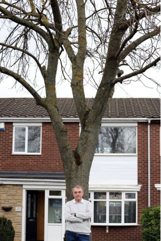 Granddad says that a tall tree outside of his home gives him an hour of sun each day.