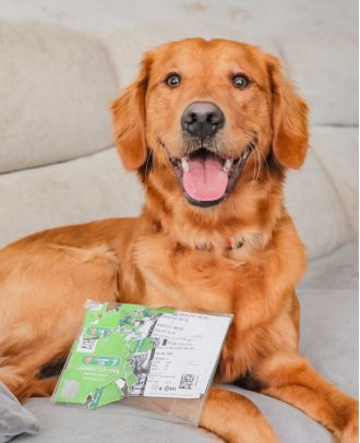 A Newcastle United supporter joked about putting their pet dog up for sale after it chewed up their tickets for the FA Cup Final at Wembley Stadium.
