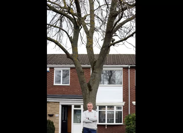 Granddad says that a tall tree outside of his home gives him an hour of sun each day.
