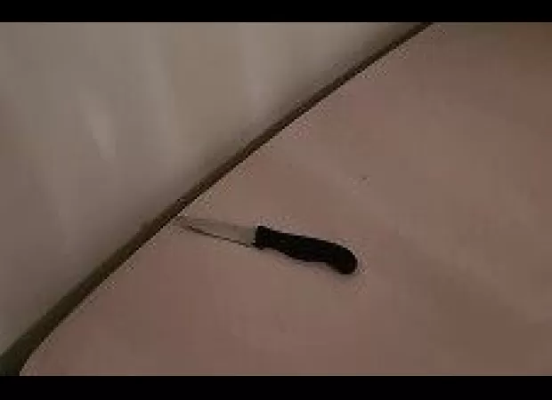 The woman said to her neighbour, 