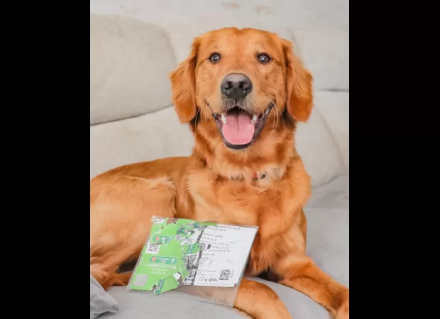 A Newcastle United supporter joked about putting their pet dog up for sale after it chewed up their tickets for the FA Cup Final at Wembley Stadium.
