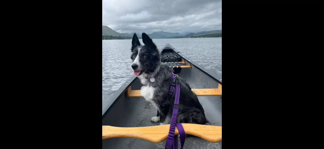 A Border Collie diagnosed with an incurable cancer is making the most of her time and living life to the fullest, thanks to a bucket list created for her.