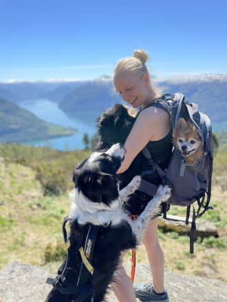 Dogs accompany their owners on journeys around the world, even participating in activities like skiing.