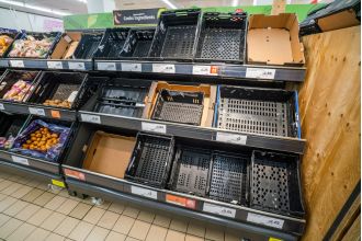 People are buying a lot of seeds because vegetable supplies in grocery stores are low.