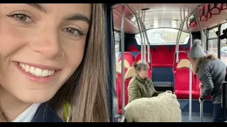 A bus driver rescued a sheep that was seen 