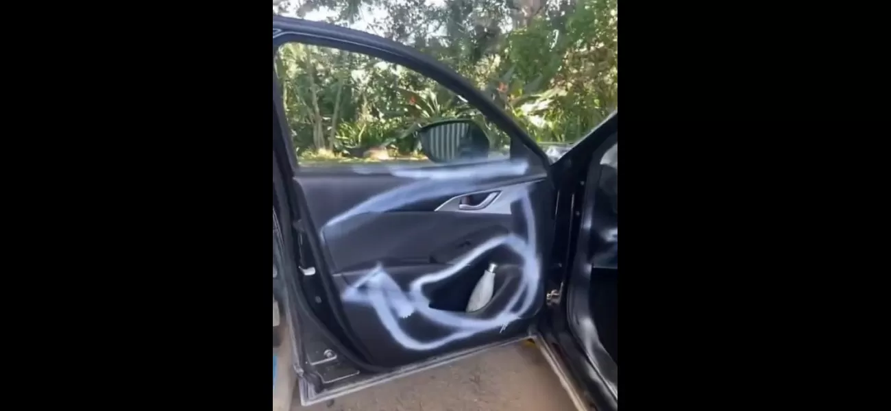Mum accidentally used spray paint on her car, thinking it was vinyl cleaner.