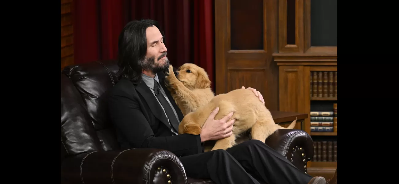 Keanu Reeves and Jimmy Fallon had a quiz game and Keanu was surrounded by puppies.