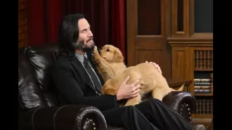 Keanu Reeves and Jimmy Fallon had a quiz game and Keanu was surrounded by puppies.