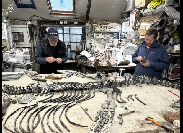 A fossilized dinosaur that is 200 million years old has been discovered and put on display at a museum, by a rescue dog.