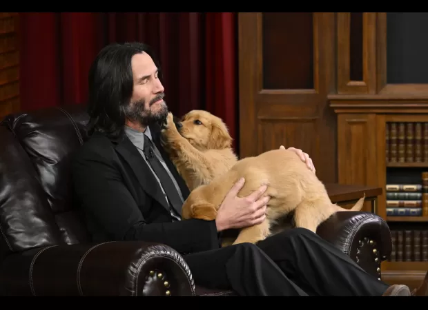 Keanu Reeves and Jimmy Fallon had a quiz game and Keanu was surrounded by puppies.