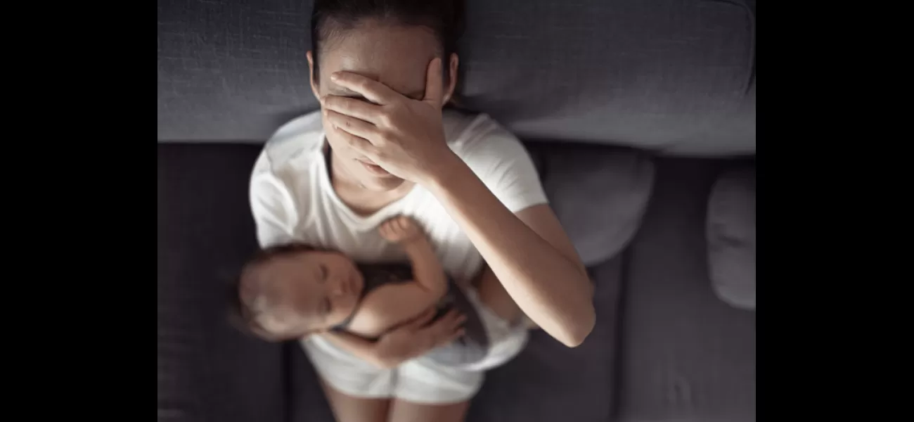 New mothers are facing a mental health crisis with postnatal checks failing to identify and provide adequate support. It's like they're drowning and can't get out.