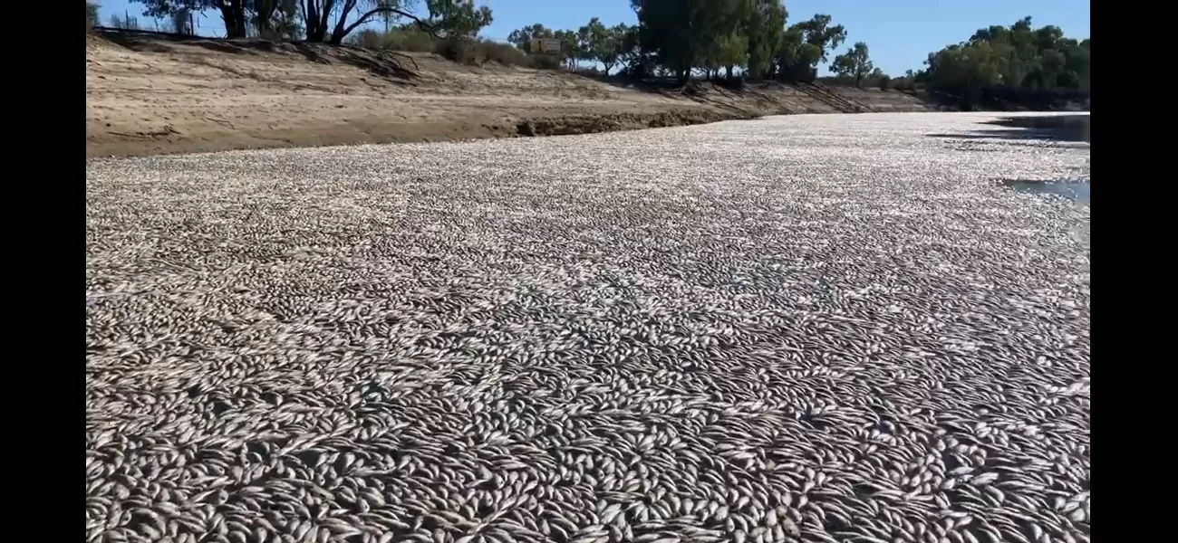 Fish were killed and removed from a river, making the water safe to drink again.