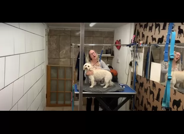 Estate agent who became famous singing a cover of 