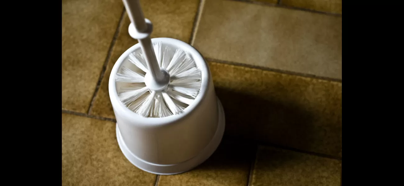 Replace your toilet brush every nine months - that's the recommendation!