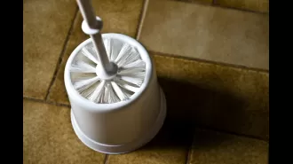 Replace your toilet brush every nine months - that's the recommendation!
