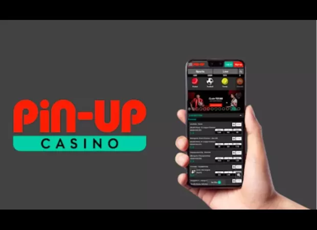 Get to know how to make the most of India's top mobile app with Pin Up App.