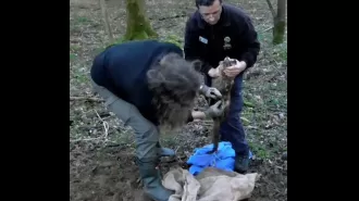 Cotswold Hunt suspended after video revealed a fox being buried alive in a bag.