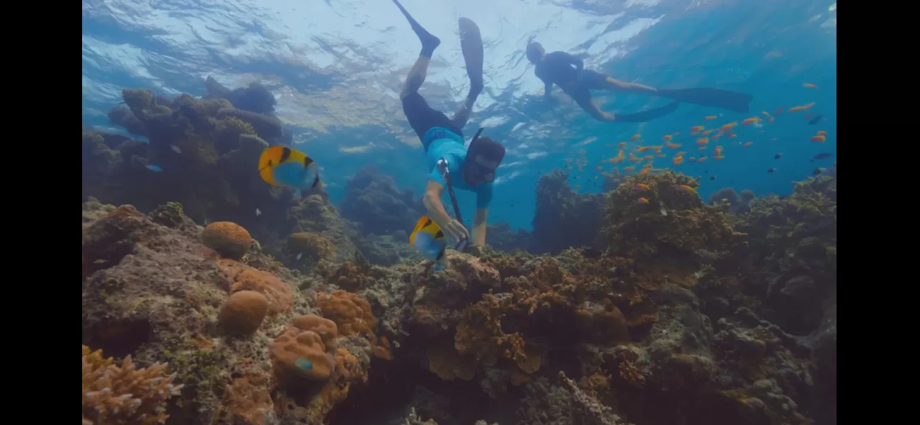 Steve Backshall uses sound to raise awareness of the importance of protecting the coral reefs in the Maldives.