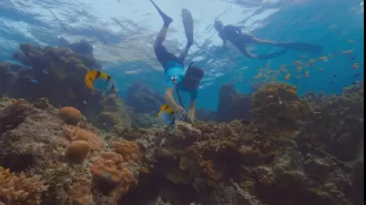 Steve Backshall uses sound to raise awareness of the importance of protecting the coral reefs in the Maldives.