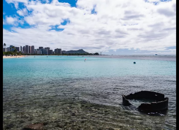 Surfer suffers rare shark attack resulting in lost foot.