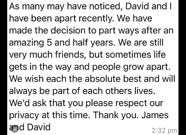 The Vivienne ends her marriage to David Ludford and refutes rumors of her involvement in Dancing On Ice.