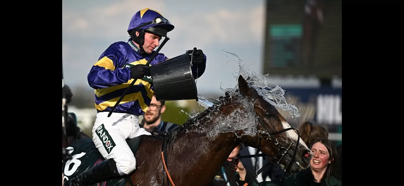 Corach Rambler surged late to take the win at Aintree's Grand National, beating Vanillier to the finish line.