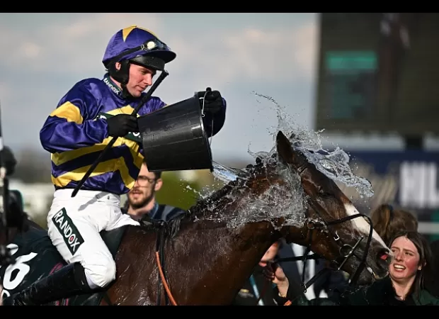 Corach Rambler surged late to take the win at Aintree's Grand National, beating Vanillier to the finish line.