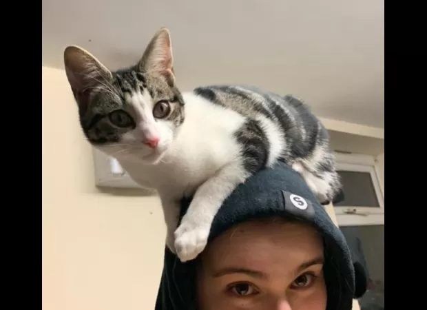 Carrot Cake had a close call - she almost lost a leg due to a mysterious accident but luckily escaped unharmed.