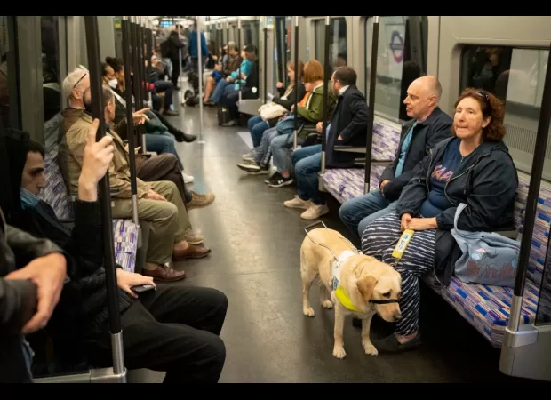 Celebrities & notable people narrate Elizabeth Line tour guides, giving you an extra special experience.