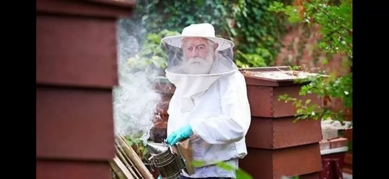 Pensioner's livelihood ruined when vandals destroy his beehives, leading to loss of 500,000 bees.
