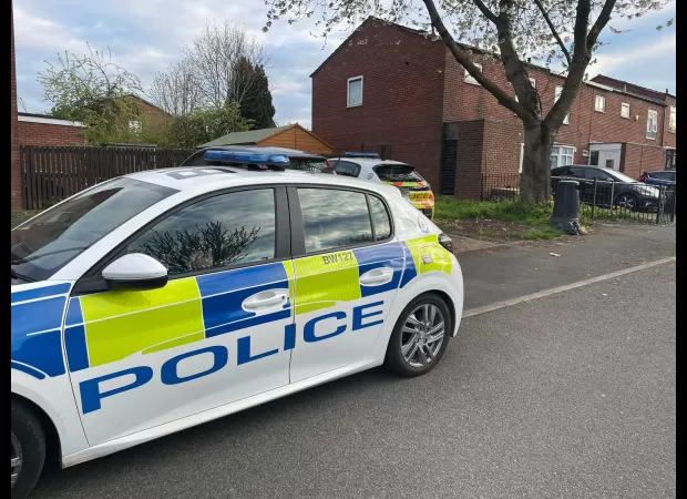 Six people injured by out of control dogs biting at random near a school.