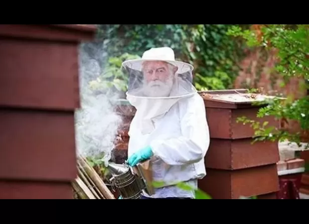 Pensioner's livelihood ruined when vandals destroy his beehives, leading to loss of 500,000 bees.