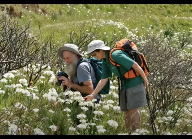 Couple murdered for using stolen credit cards; bodies disposed of by feeding to crocodiles.