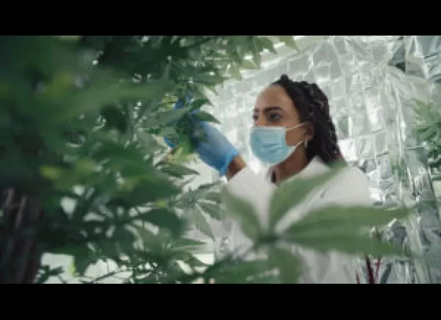 Support Black businesses by purchasing bud and smoking THC from these five Black-owned dispensaries.