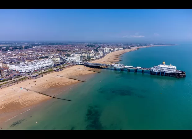 People in town suffering from attack of tomato-hurling assailants.