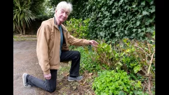 Residents outraged when contractors come to clean up their shared garden without permission.