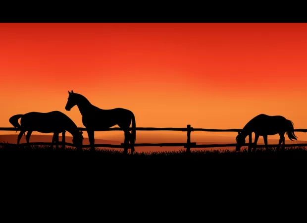 2023 is a great year for love, money, and luck for those born in the year of the Horse! Check out lucky dates for success.