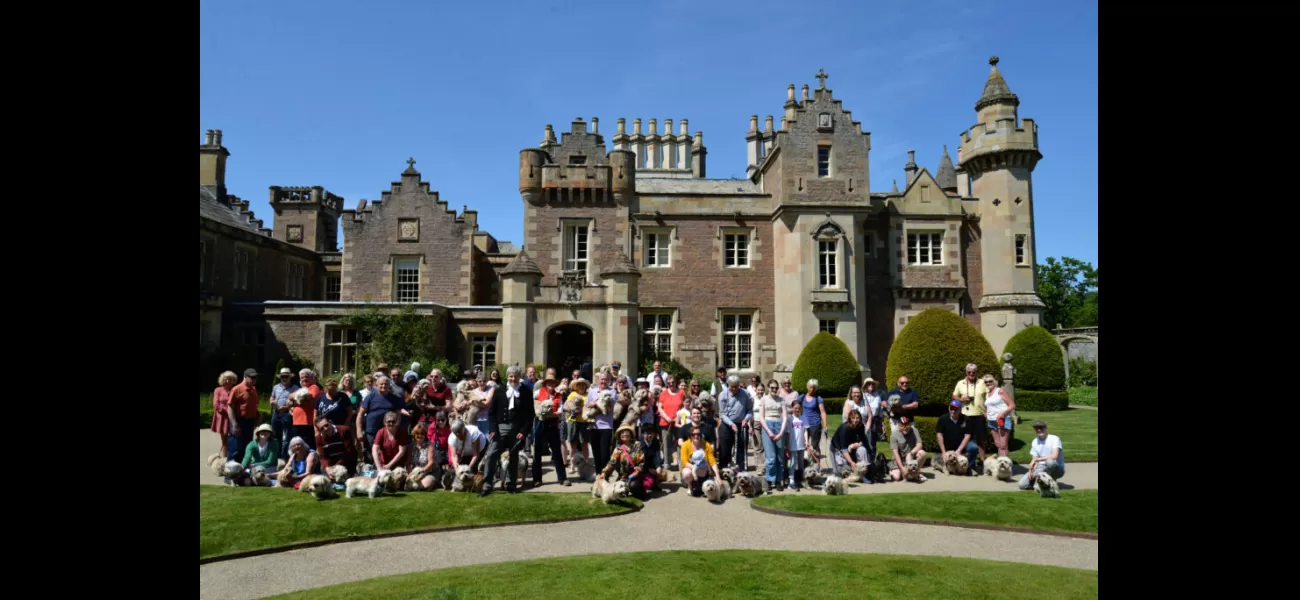 Dandie Dinmonts compete in an annual derby race.