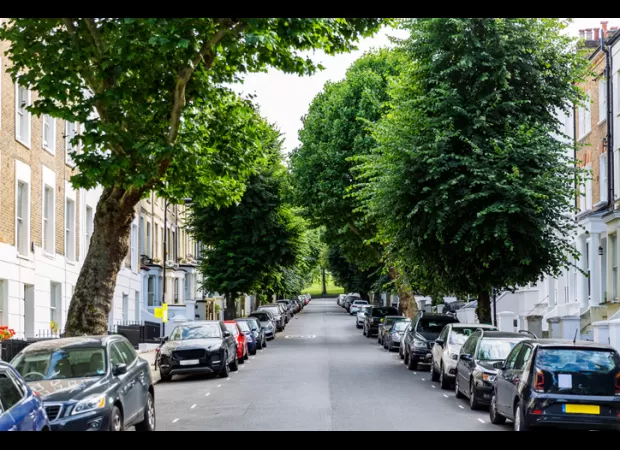 Britain's trees need our help - even our bath water can help!