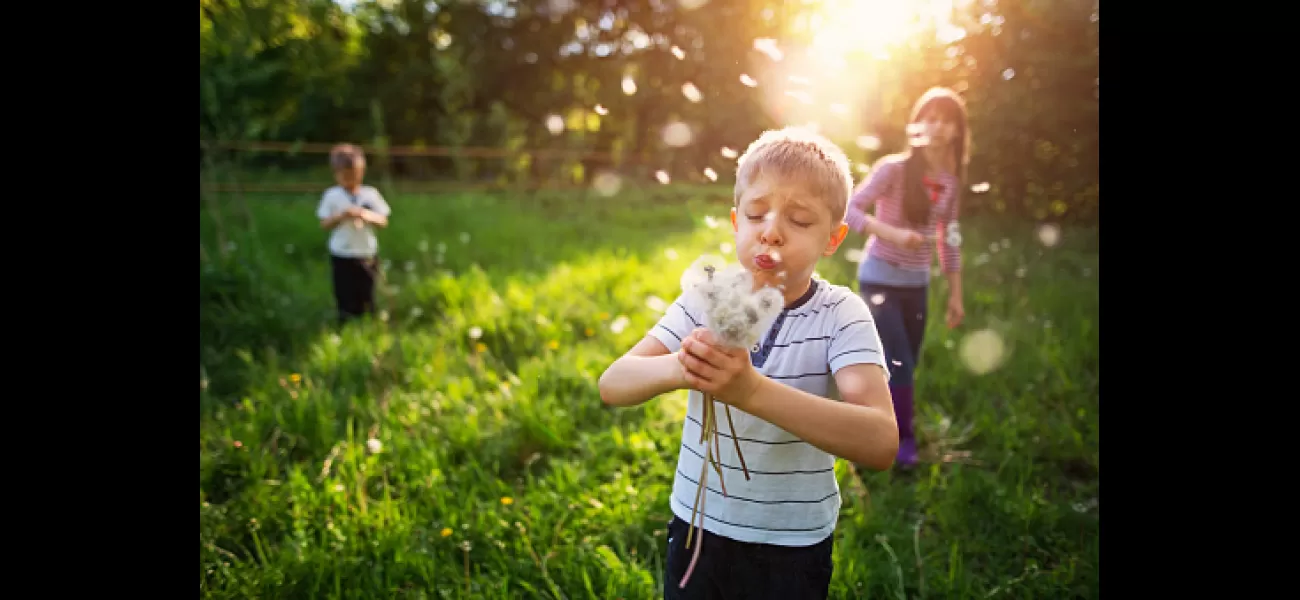 Grass pollen season ends when hay fever symptoms subside.