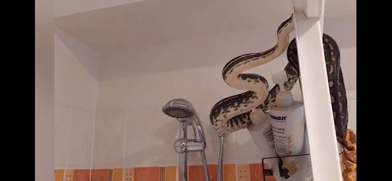 He was surprised by what he found in the bathroom.