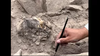 3,000-year-old mummy found in Peru thought to be from a sacrificial ritual.