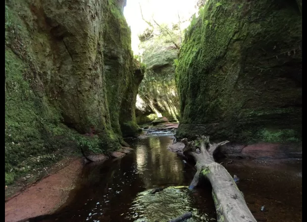 Exploring Scotland's best walking trails, from rugged coastlines to mountain summits.