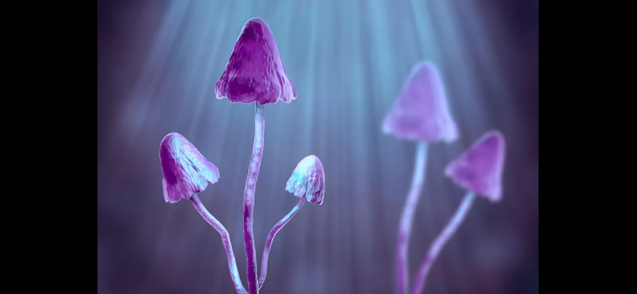Could mushrooms provide a viable treatment for PTSD?